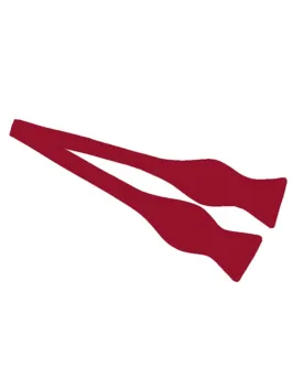 Burgundy Self-Tie Bow Tie