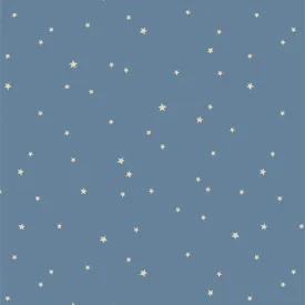 Coyote Hill Starry Whispers Mist