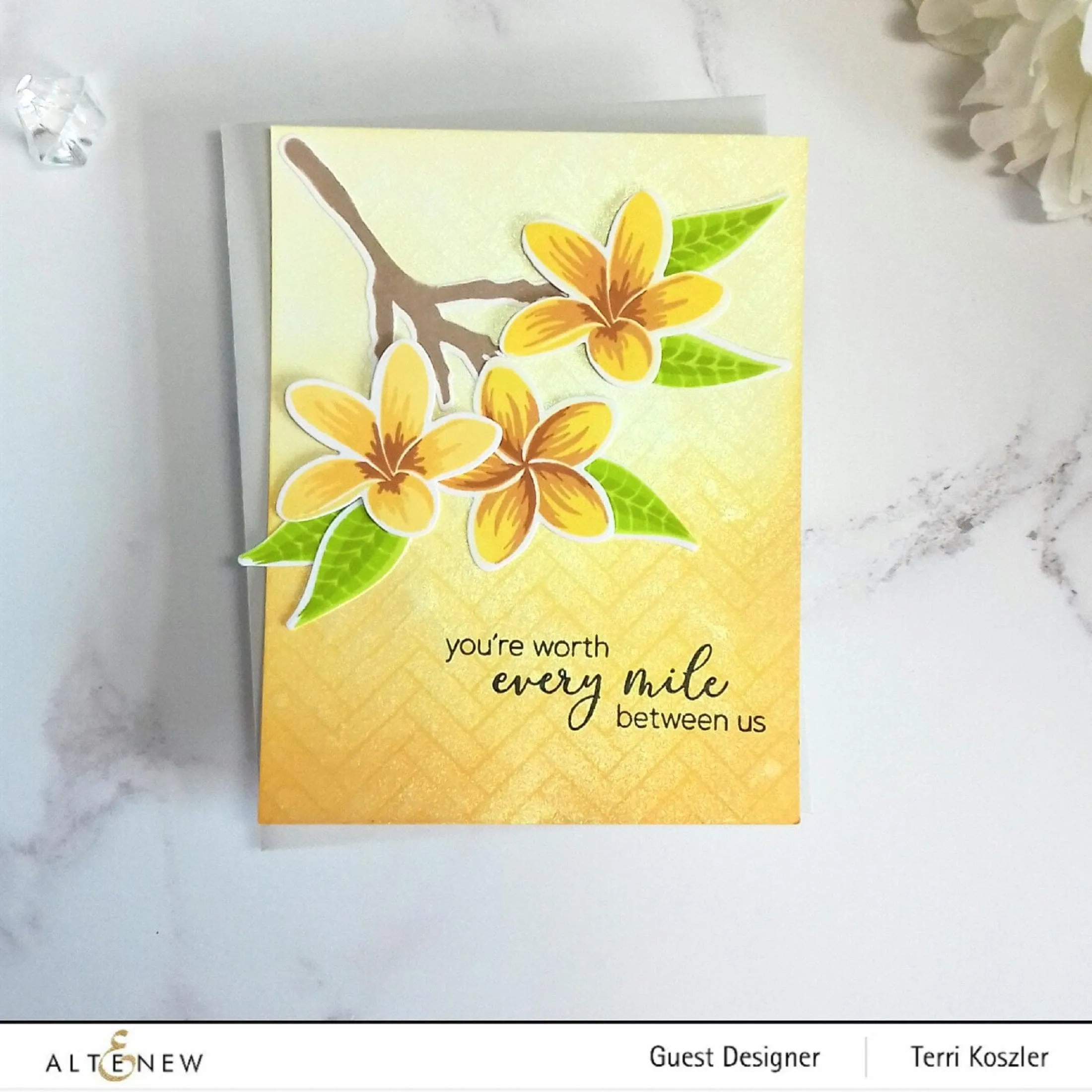 Playful Plumeria